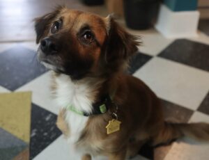 Screenshot 2026-01-25 at 8.57.24 AM