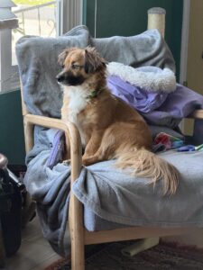6fbf3b051b3a43c3.jpg