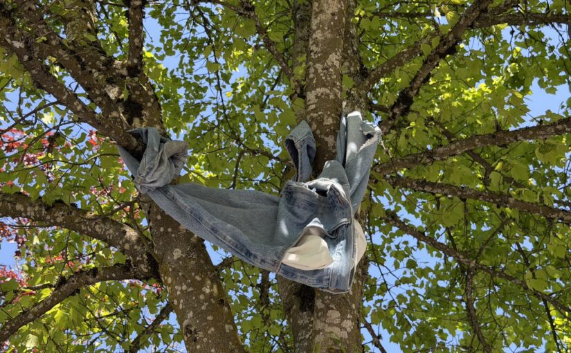 This tree is wearing pants